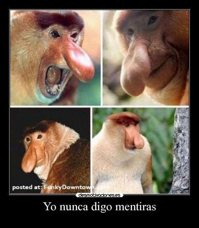 Yo nunca digo mentiras - 