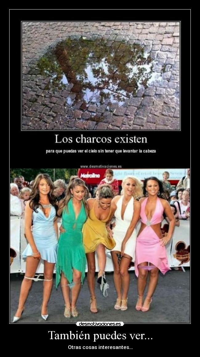 También puedes ver... - 