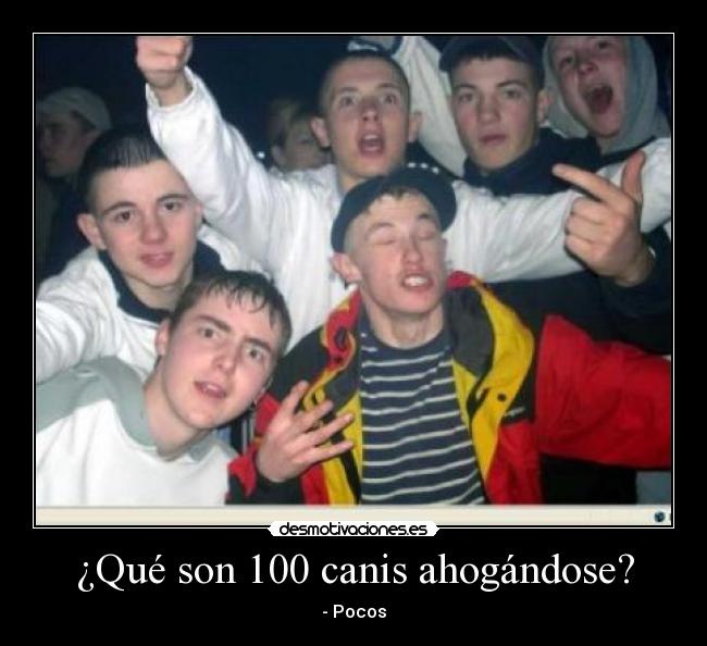 ¿Qué son 100 canis ahogándose? - 