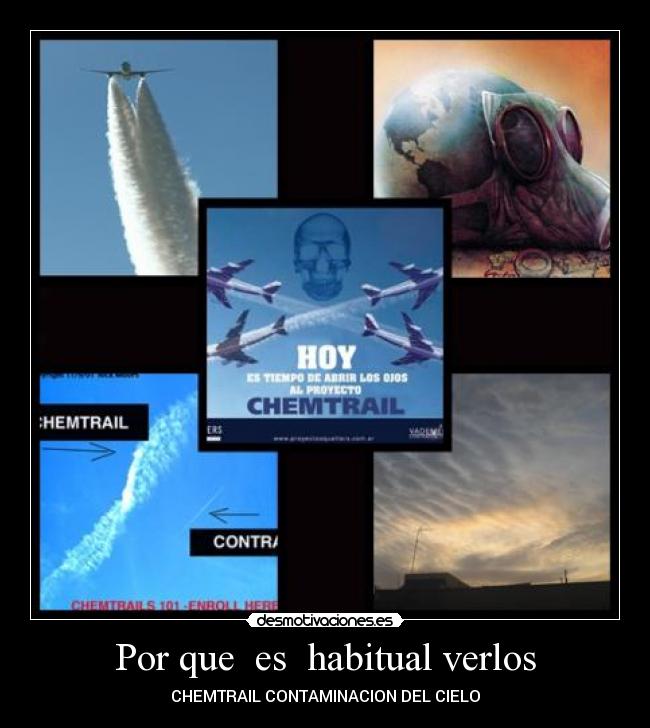 Por que  es  habitual verlos - 