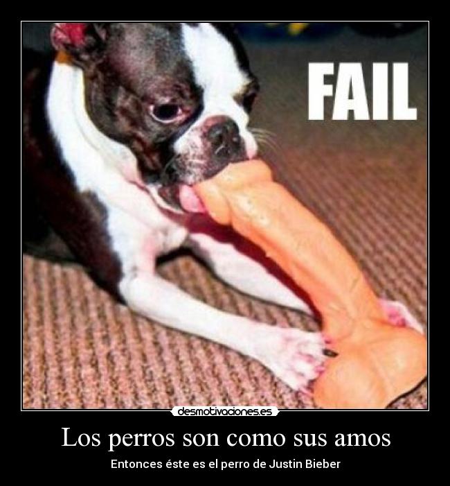 Los perros son como sus amos -