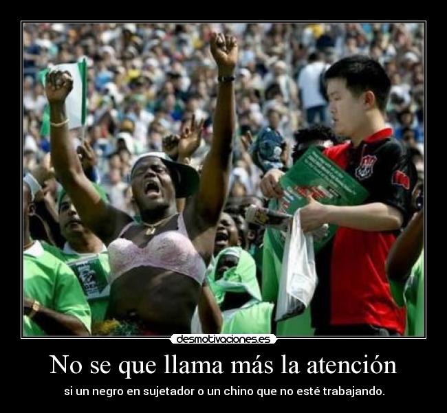 No se que llama más la atención - 