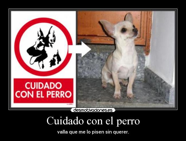 Cuidado con el perro -