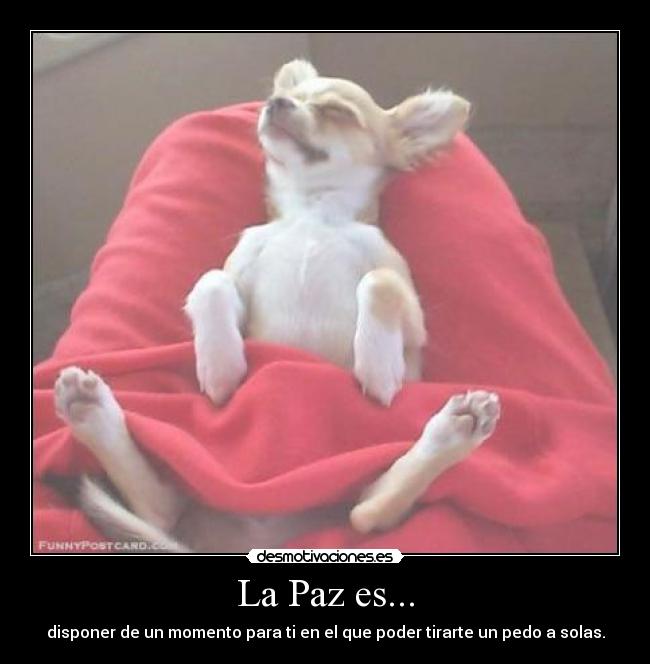 La Paz es... - disponer de un momento para ti en el que poder tirarte un pedo a solas.