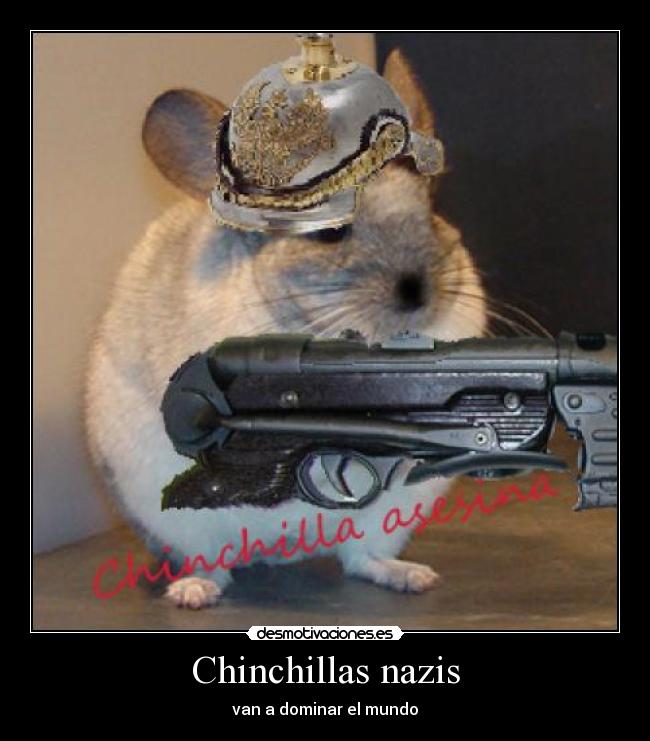 Chinchillas nazis - van a dominar el mundo