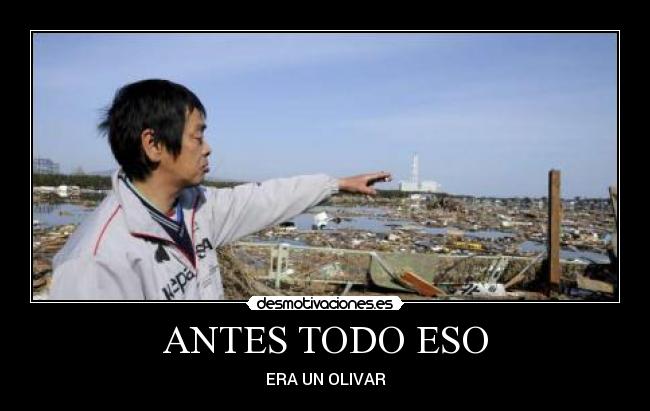 carteles chino desmotivaciones