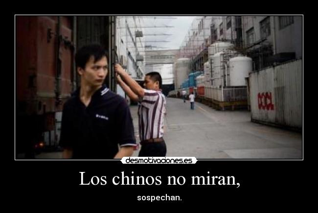 Los chinos no miran, - sospechan.