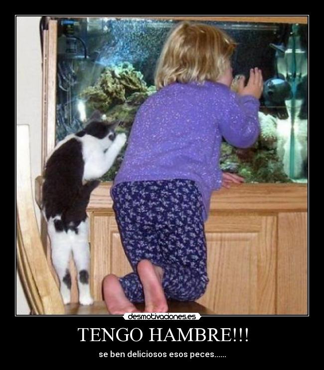 TENGO HAMBRE!!! - se ben deliciosos esos peces......