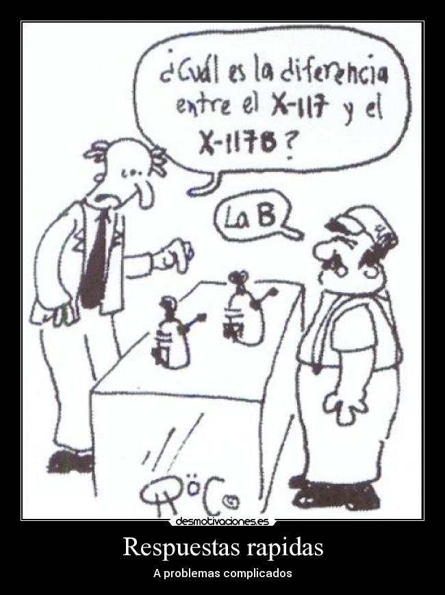 Respuestas rapidas -