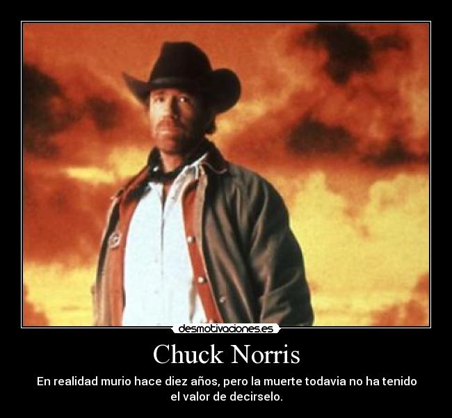 carteles chuck norris desmotivaciones