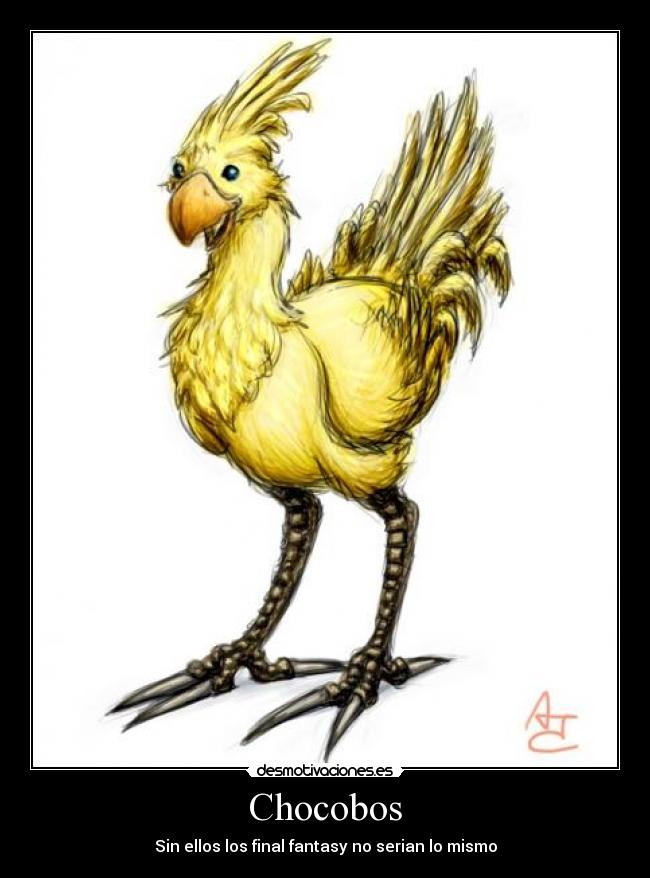 Chocobos -