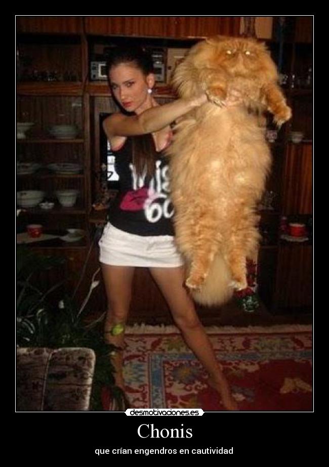 carteles chonis engendros desmotivaciones