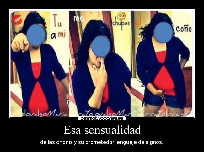 carteles chonis cono lenguaje desmotivaciones