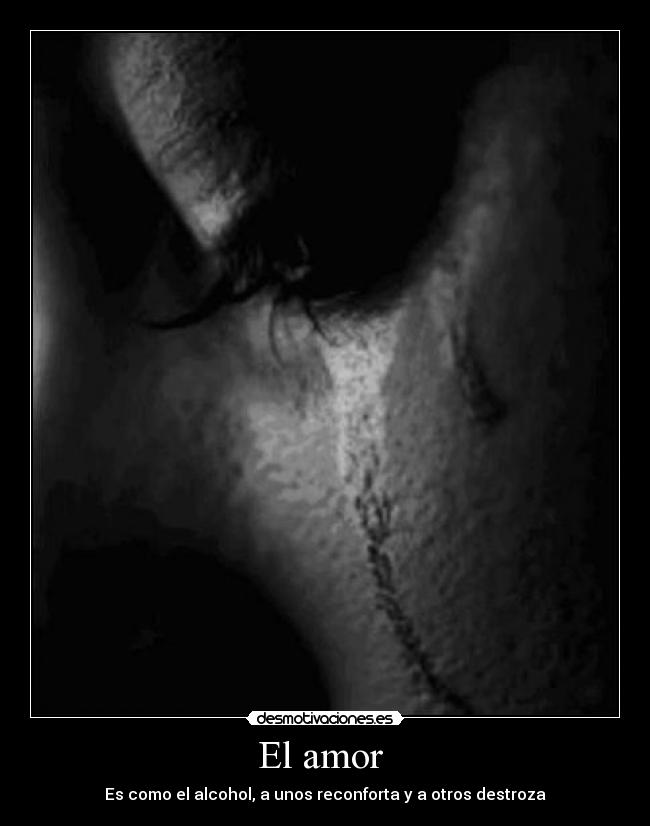 El amor - Es como el alcohol, a unos reconforta y a otros destroza