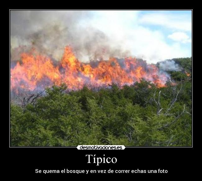 carteles wwwdesmotivacioneses desmotivaciones