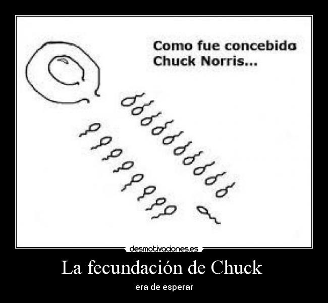 La fecundación de Chuck - era de esperar