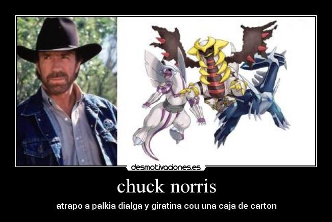 chuck norris -