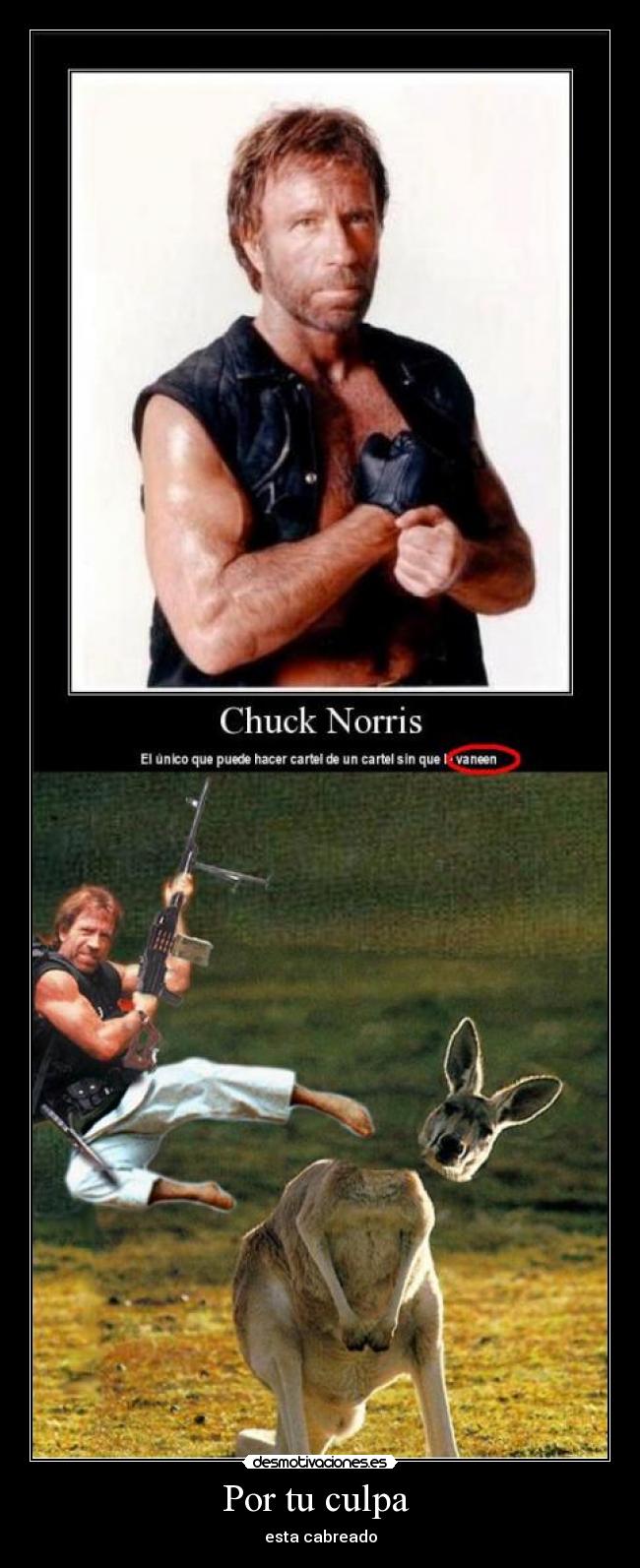 Por tu culpa - esta cabreado