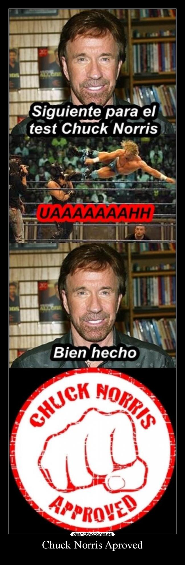 Chuck Norris Aproved -