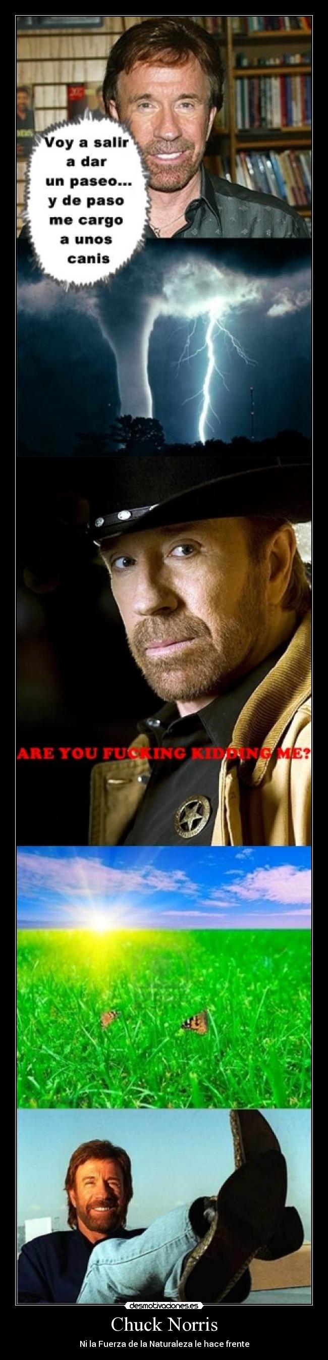 Chuck Norris - 