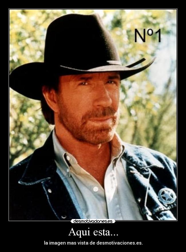 carteles chuck norris imagen mas vista desmotivaciones