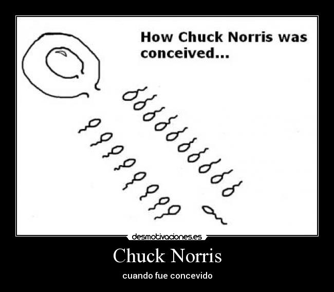 Chuck Norris - cuando fue concevido