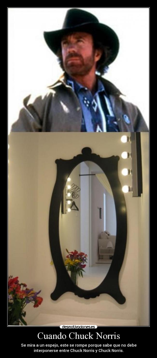 Cuando Chuck Norris - Se mira a un espejo, este se rompe porque sabe que no debe
interponerse entre Chuck Norris y Chuck Norris.