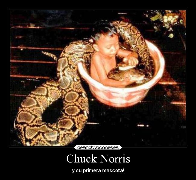 Chuck Norris -