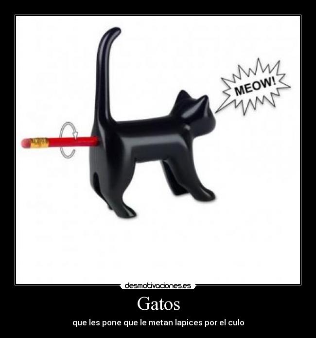 Gatos - que les pone que le metan lapices por el culo