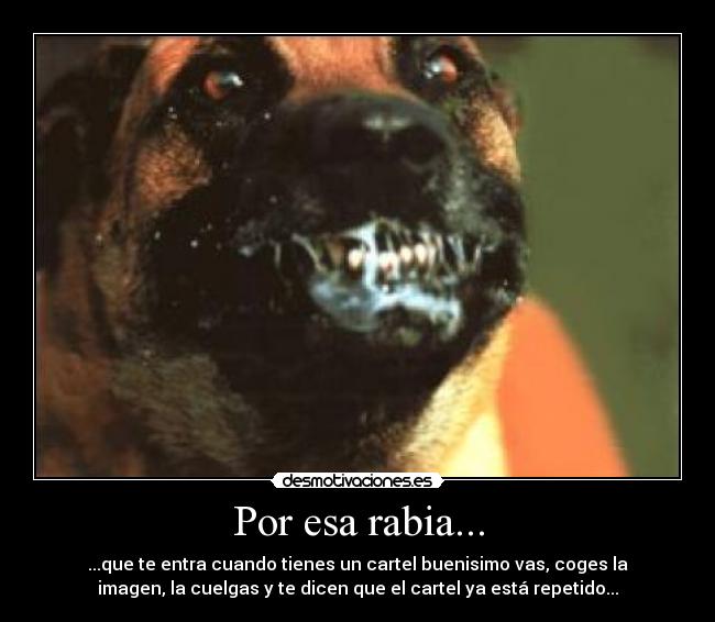 Por esa rabia... - 