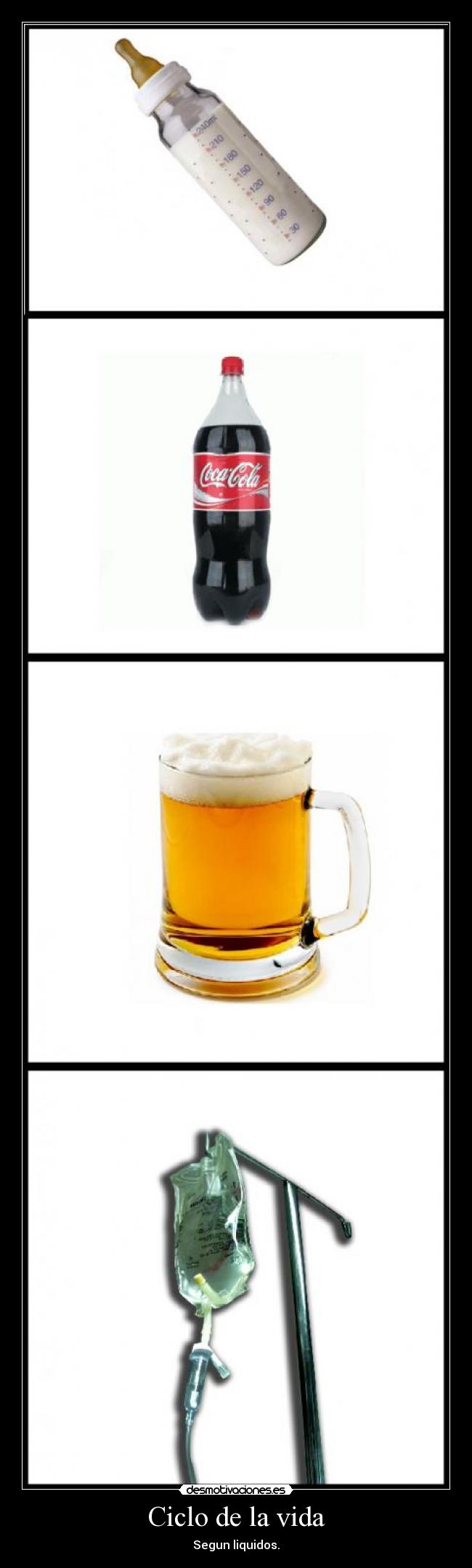 Ciclo de la vida - Segun liquidos.