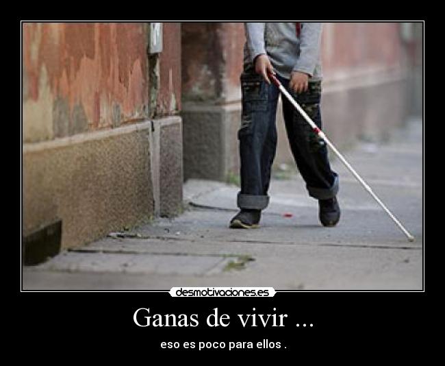 Ganas de vivir ... - 