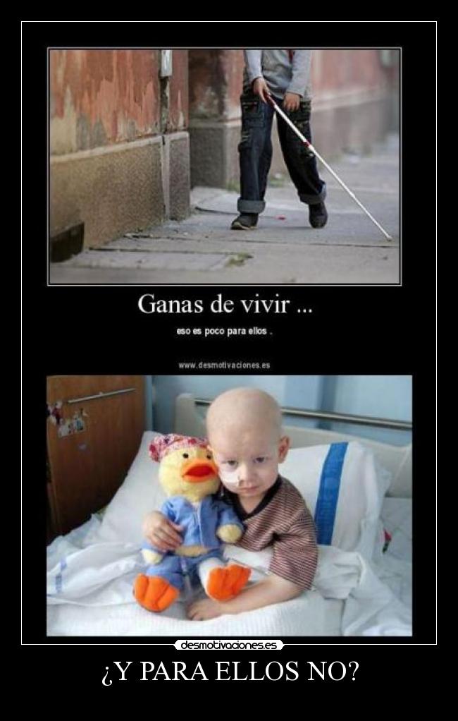 ¿Y PARA ELLOS NO? - 
