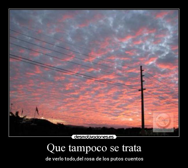 Que tampoco se trata - de verlo todo,del rosa de los putos cuentos