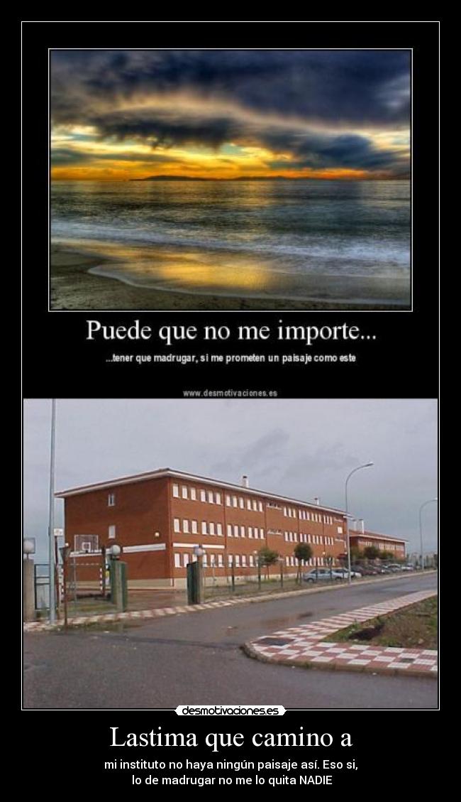 Lastima que camino a - 