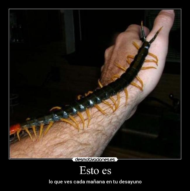 Esto es - lo que ves cada mañana en tu desayuno