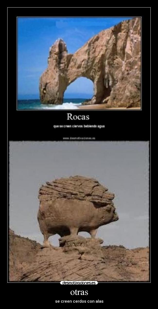 otras - se creen cerdos con alas