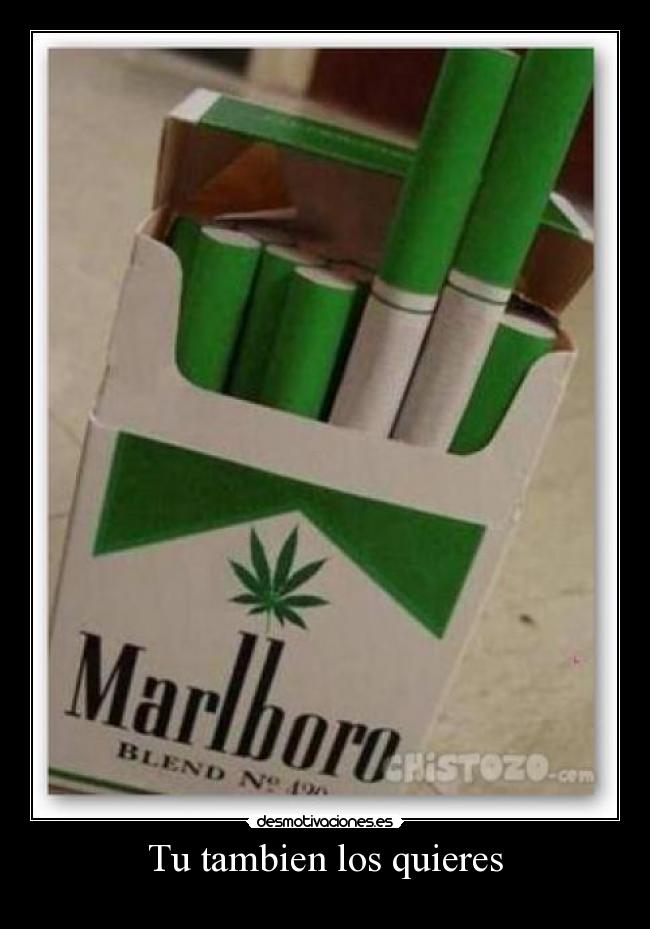 Tu tambien los quieres - 