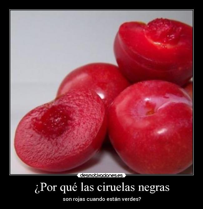 ¿Por qué las ciruelas negras - son rojas cuando están verdes?