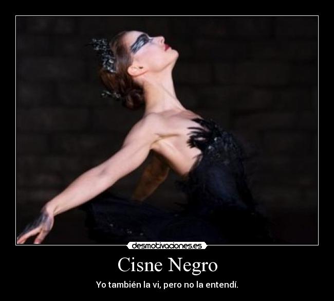 Cisne Negro - Yo también la vi, pero no la entendí.