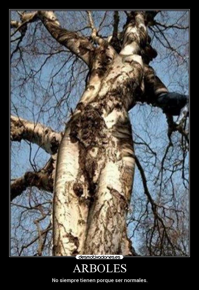 carteles naturaleza desmotivaciones