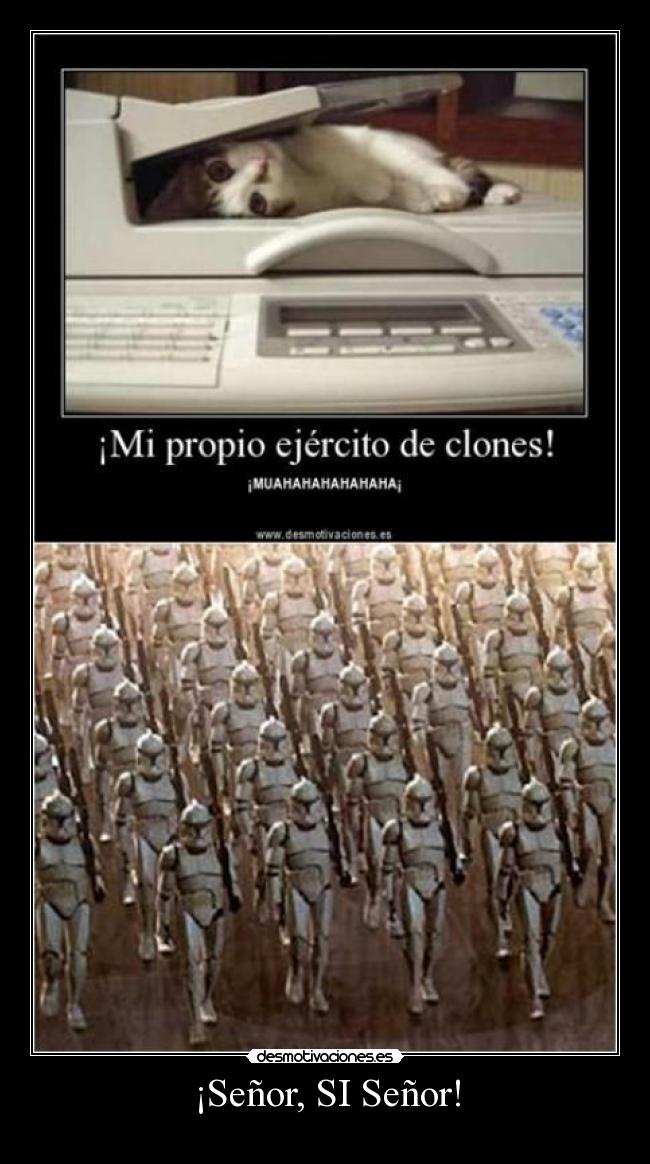 ¡Señor, SI Señor! -