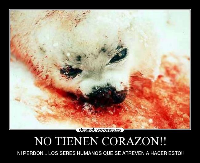 NO TIENEN CORAZON!! - 