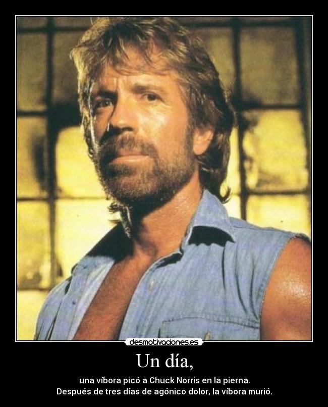 Un día, - una víbora picó a Chuck Norris en la pierna.
Después de tres días de agónico dolor, la víbora murió.