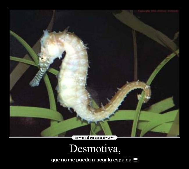 Desmotiva, - que no me pueda rascar la espalda!!!!!!