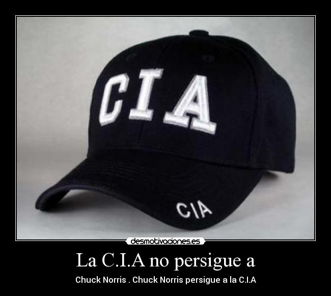 La C.I.A no persigue a -