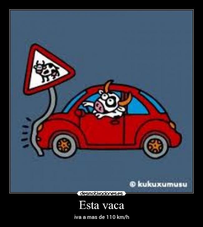 Esta vaca - iva a mas de 110 km/h