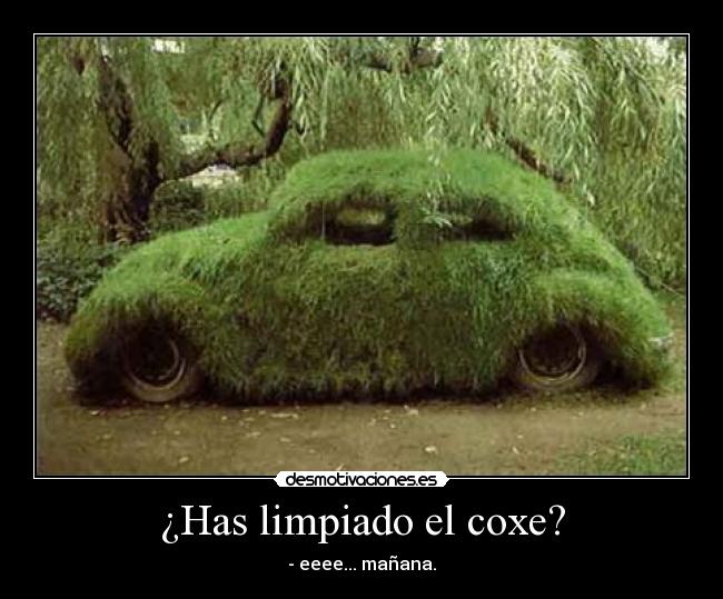 ¿Has limpiado el coxe? - 