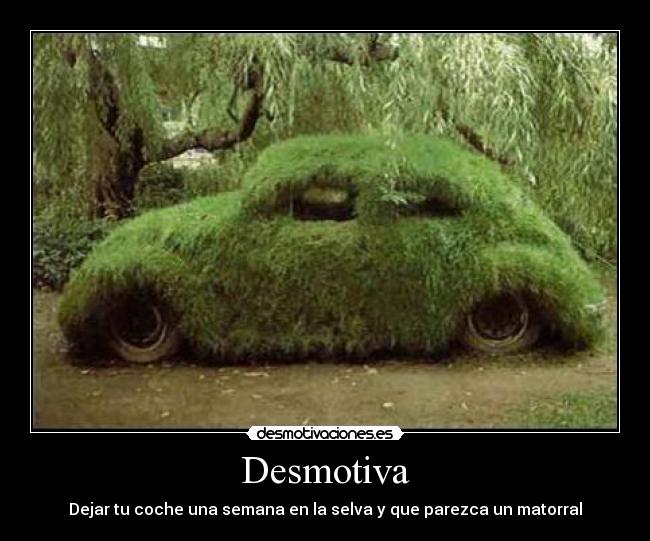 Desmotiva - Dejar tu coche una semana en la selva y que parezca un matorral