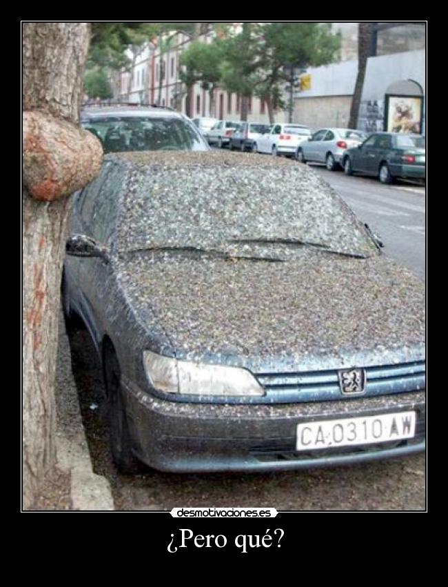 ¿Pero qué? -
